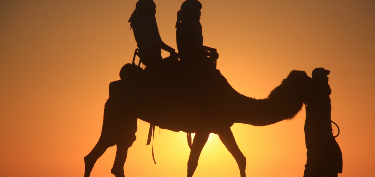 Tours from Casablanca