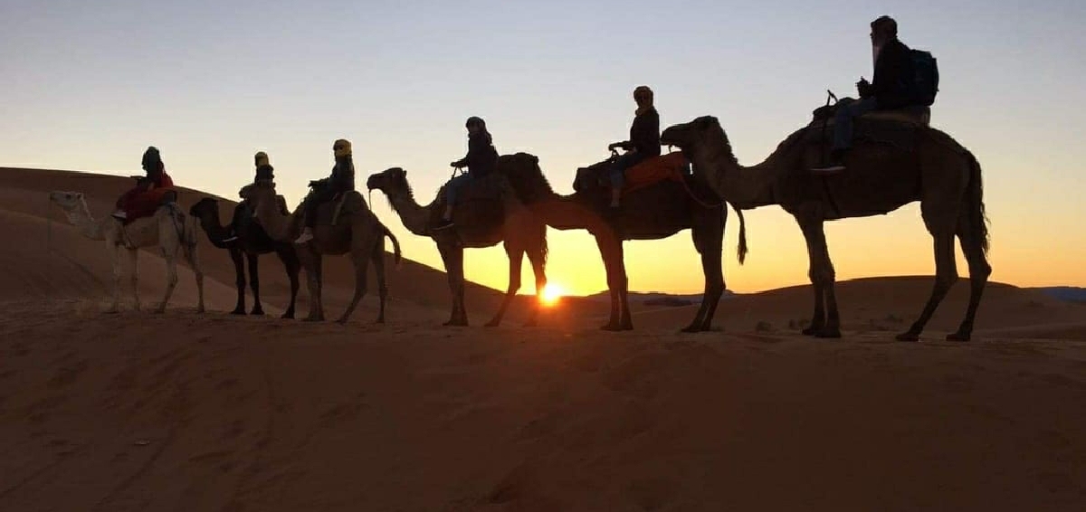 Tours from Marrakech