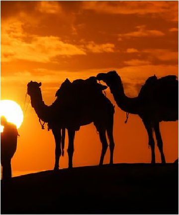 Tours from Casablanca