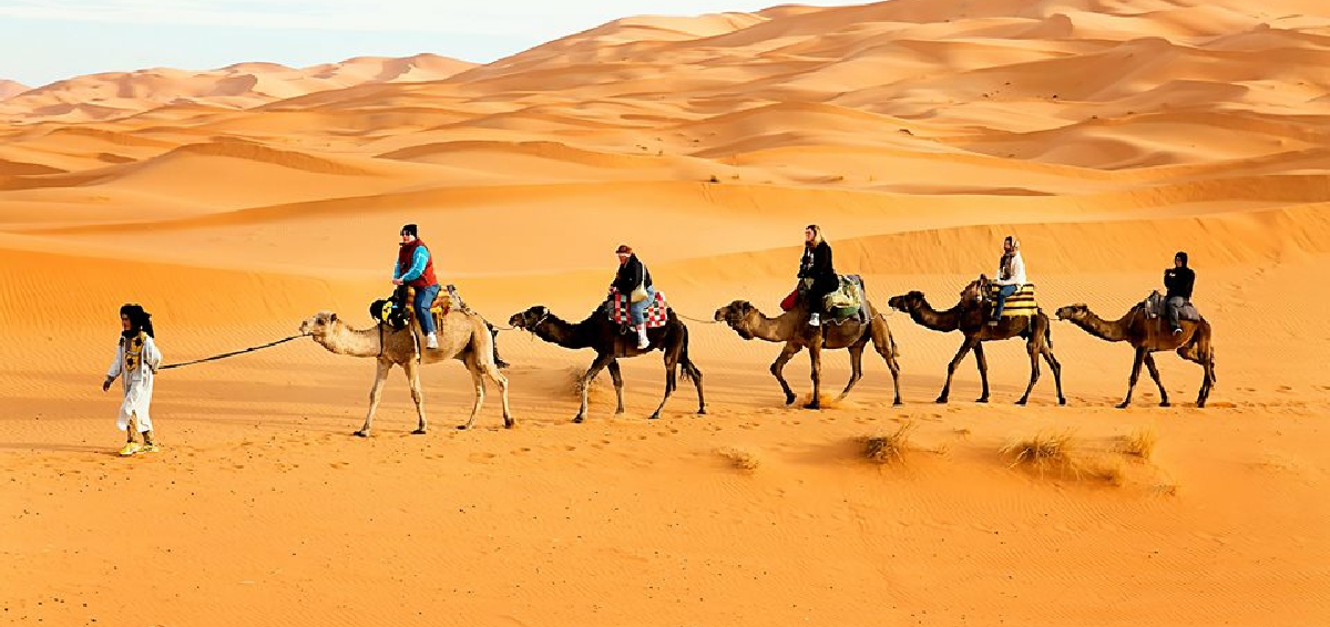 Tours from Marrakech