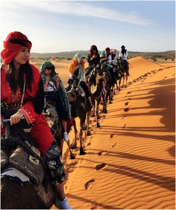 Overnight in Luxury desert Camp