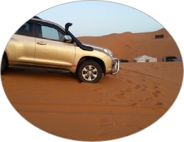 Private Tour Transfers