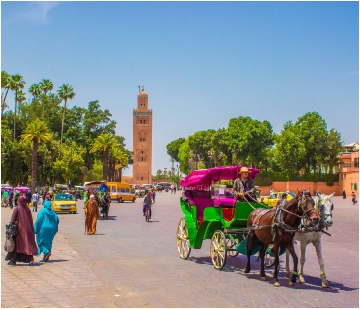 Morocco Guide Tour - Photo Galery