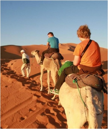 Tours from Marrakech